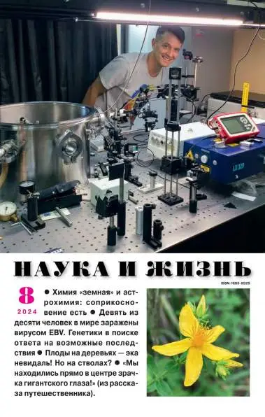 Наука и жизнь №8 / 2024