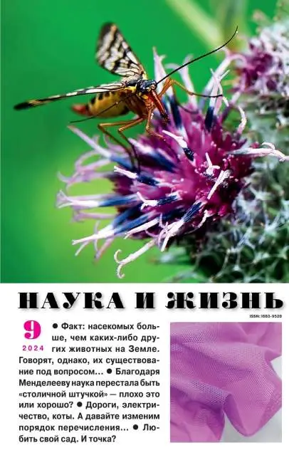 Наука и жизнь №9 / 2024