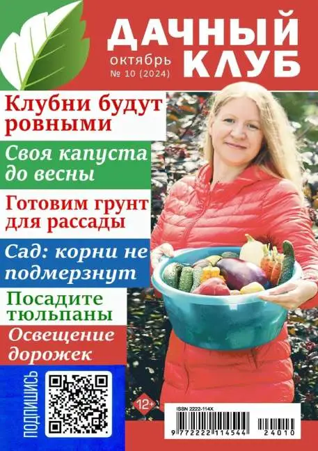 Дачный клуб №10 / 2024