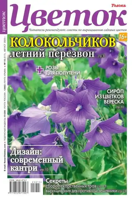 Цветок №8 / 2025