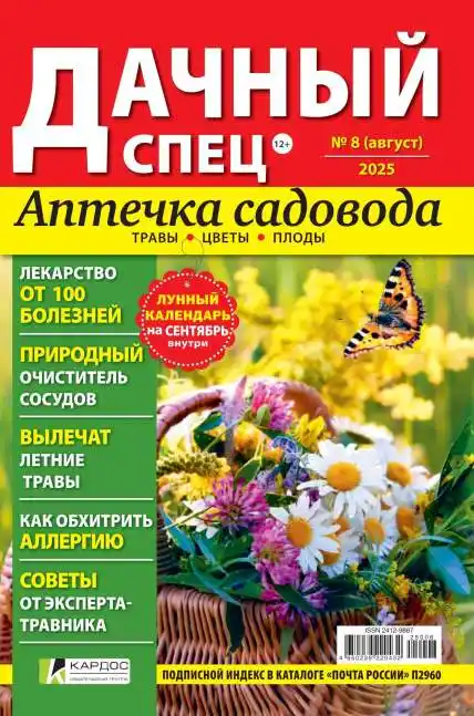Дачный спец №8 / 2025