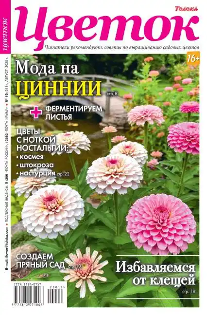 Цветок №16 / 2025