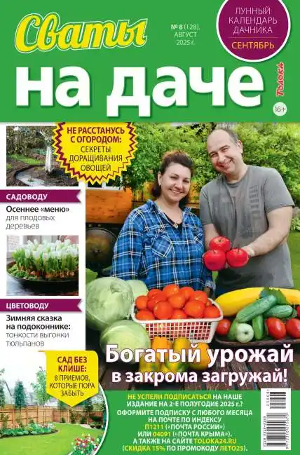 Сваты на даче №8 / 2025