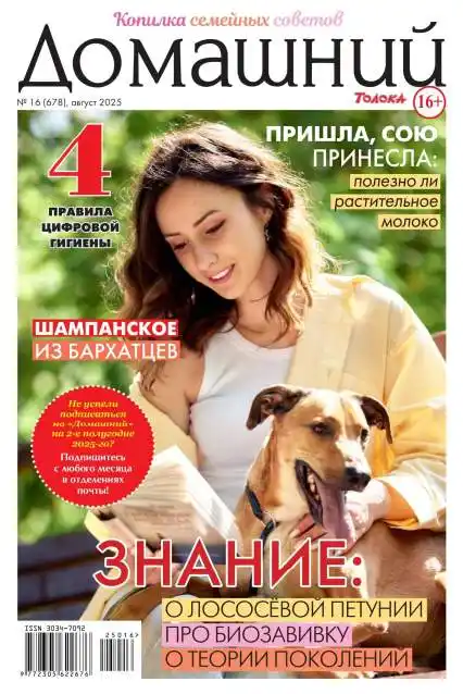 Домашний №16 / 2025