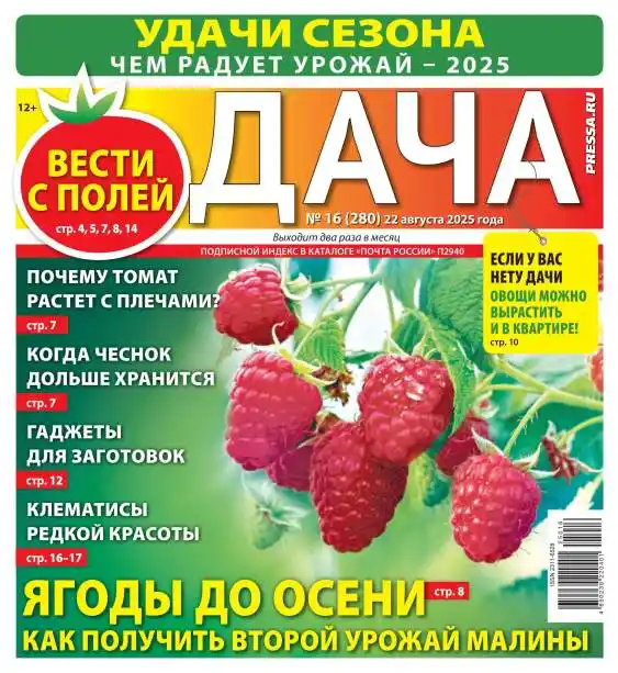 Дача №16 / 2025