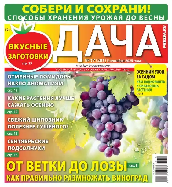 Дача №17 / 2025