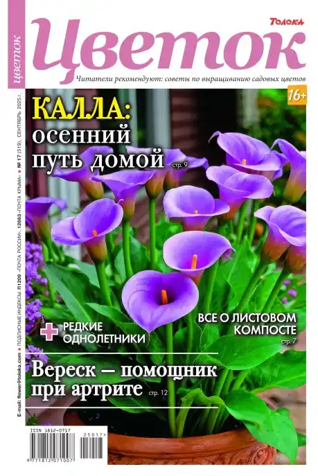 Цветок №17 / 2025