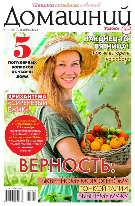 Домашний №17 / 2025