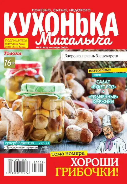 Кухонька Михалыча №9 / 2025