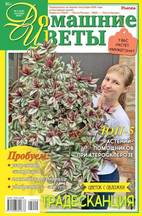 Домашние цветы №9 / 2025