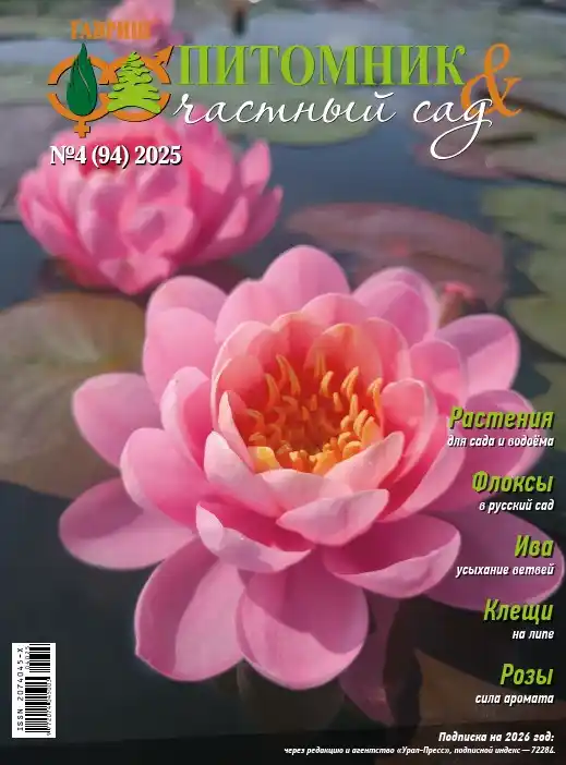 Питомник и частный сад №4 / 2025