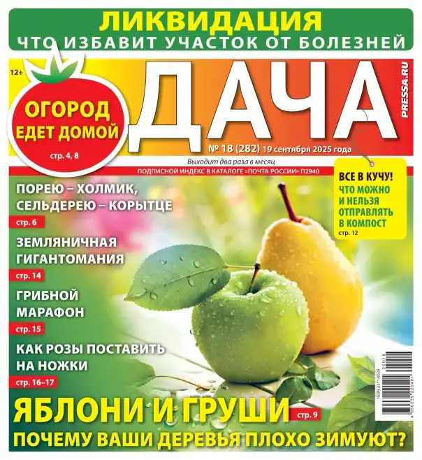 Дача №18 / 2025