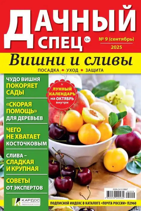 Дачный спец №9 / 2025