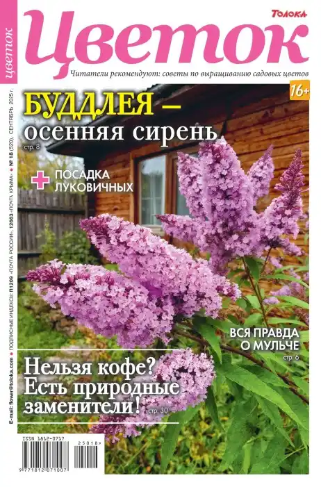 Цветок №18 / 2025