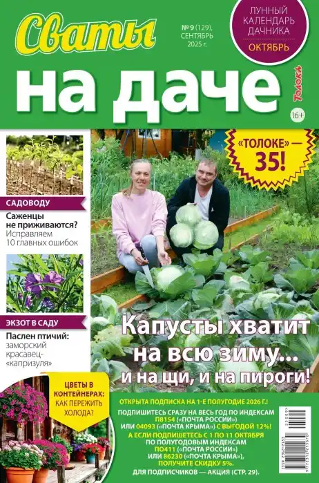 Сваты на дача №9 / 2025