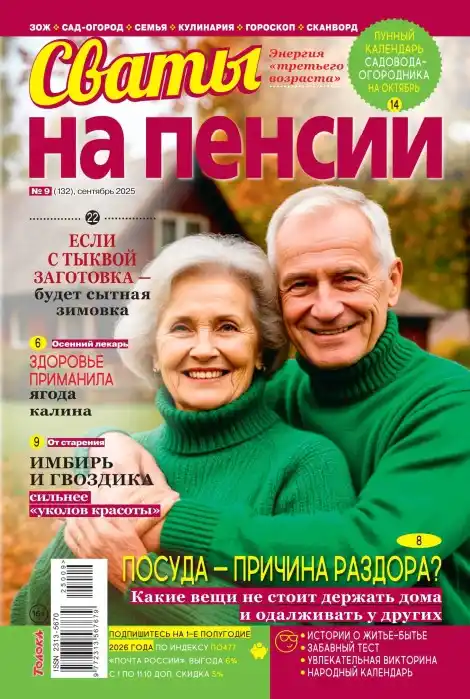 Сваты на пенсии №9 / 2025