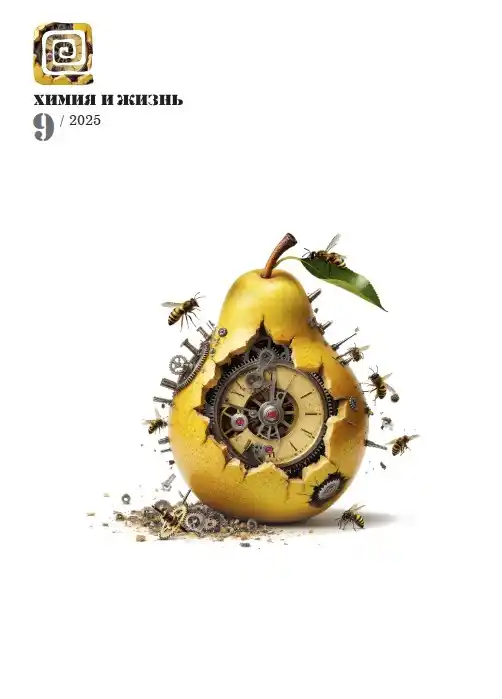 Химия и жизнь №9 / 2025