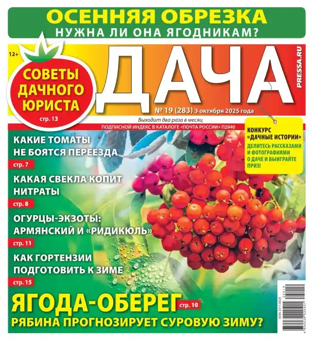 Дача №19 / 2025