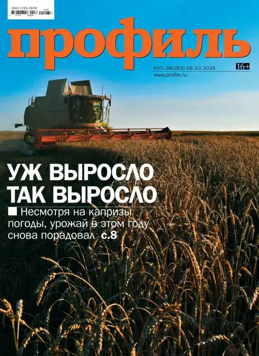 Профиль №37-38 / 2025