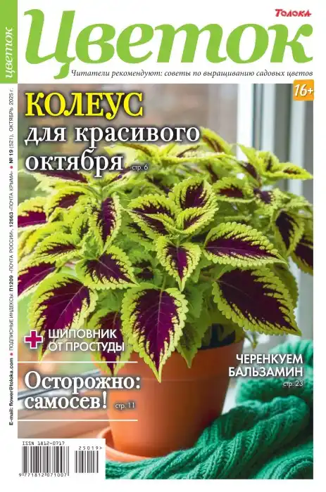 Цветок №19 / 2025