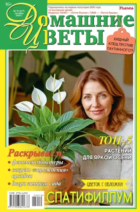 Домашние цветы №10 / 2025