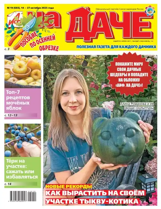 АиФ. На даче №19 / 2025