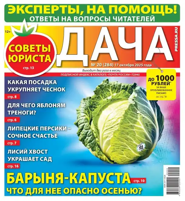 Дача №20 / 2025