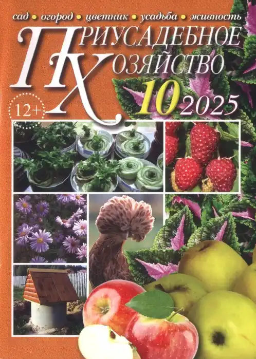 Приусадебное хозяйство №10 / 2025