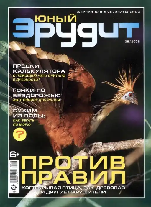 Юный эрудит №5 / 2025