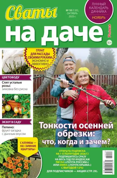 Сваты на даче №10 / 2025