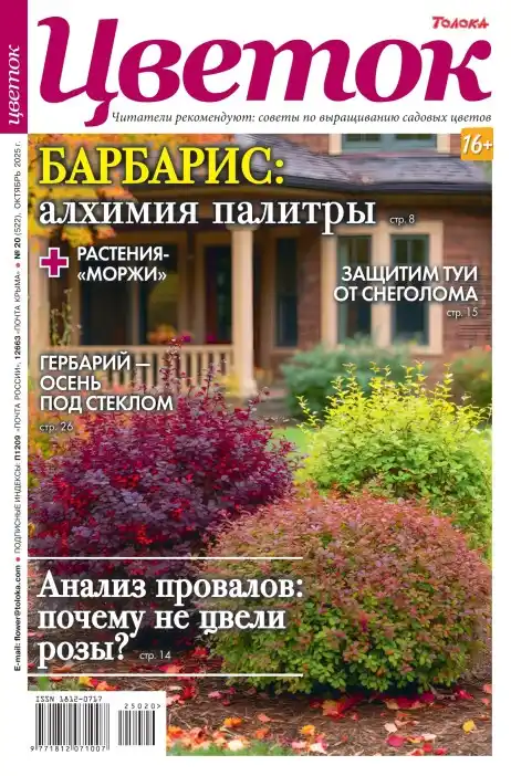 Цветок №20 / 2025