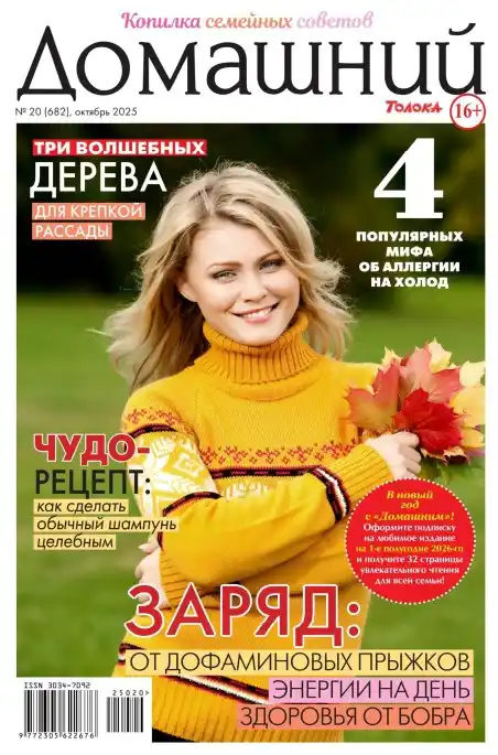 Домашний №20 / 2025