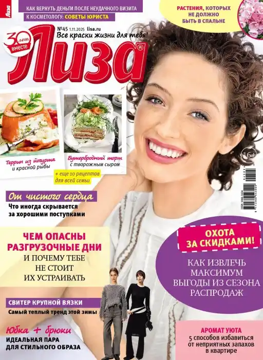 Лиза №45 / 2025