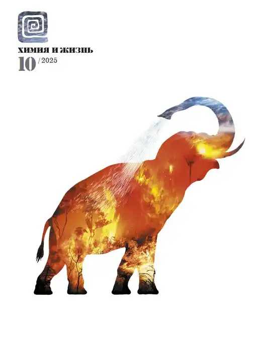 Химия и жизнь №10 / 2025