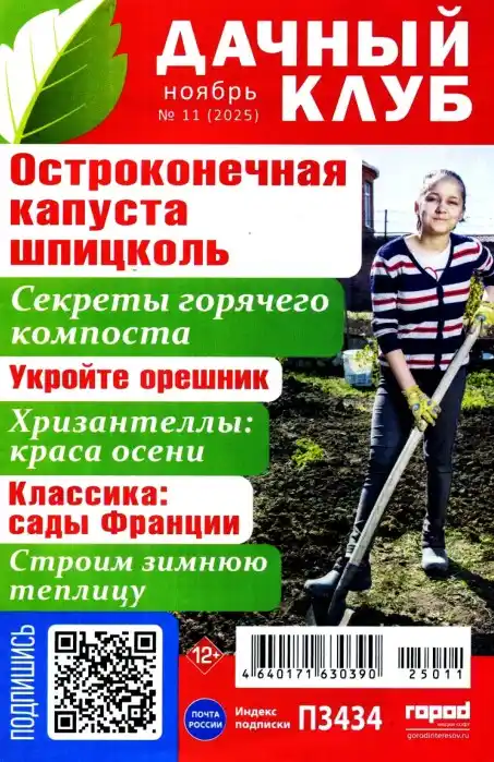 Дачный клуб №11 / 2025