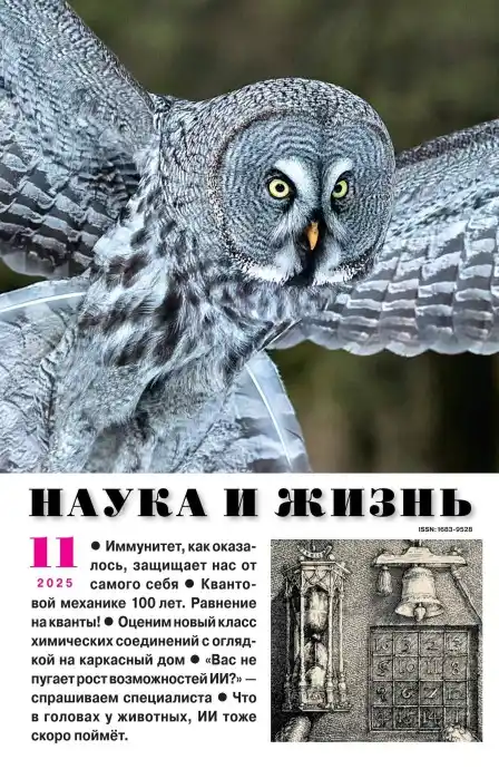 Наука и жизнь №11 / 2025