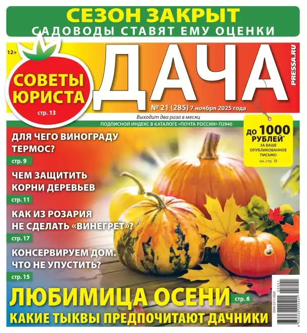 Дача №21 / 2025