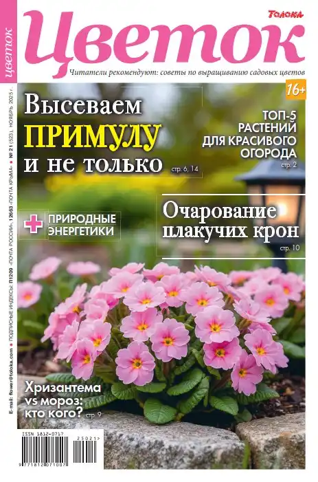 Цветок №21 / 2025