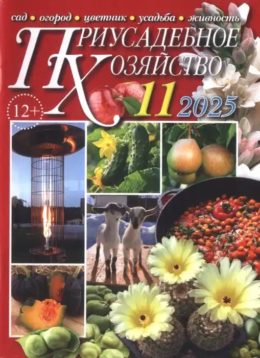 Приусадебное хозяйство №11 / 2025