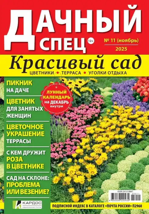 Дачный спец №11 / 2025