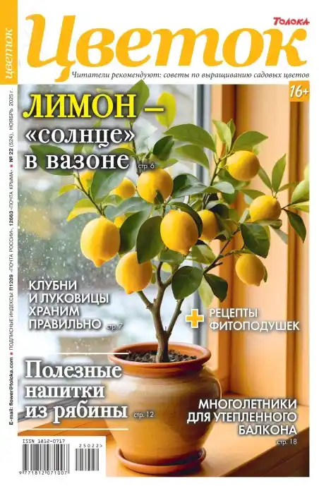 Цветок №22 / 2025