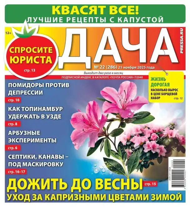 Дача №22 / 2025