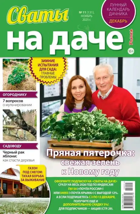 Сваты на даче №11 / 2025