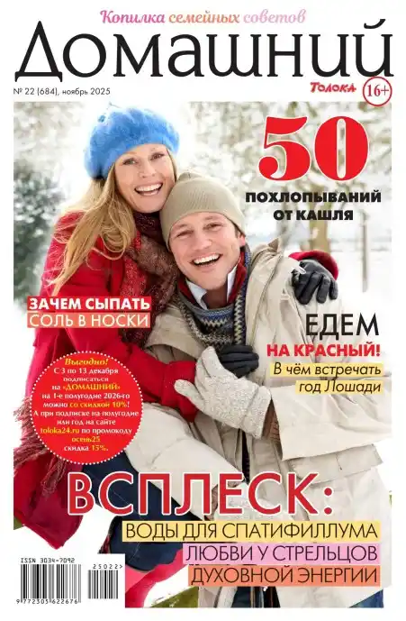 Домашний №22 / 2025