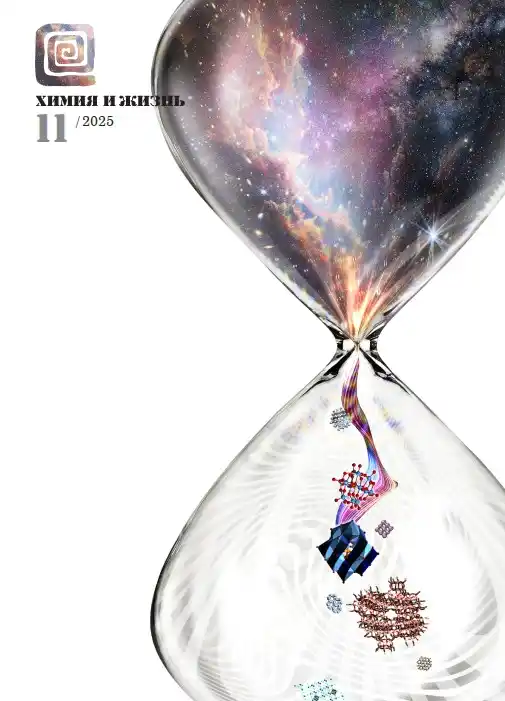 Химия и жизнь №11 / 2025
