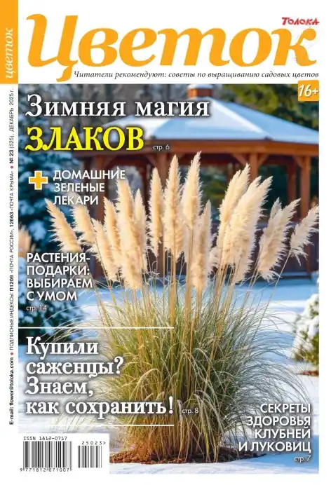 Цветок №23 / 2025