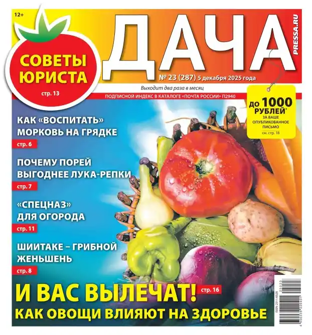 Дача №23 / 2025