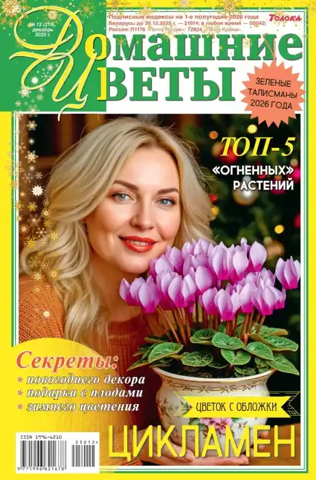 Домашние цветы №12 / 2025