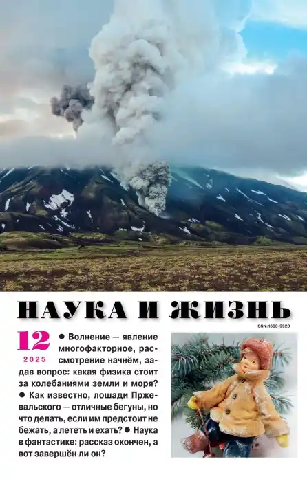 Наука и жизнь №12 / 2025