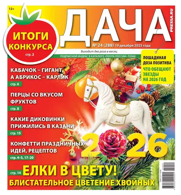 Дача №24 / 2025